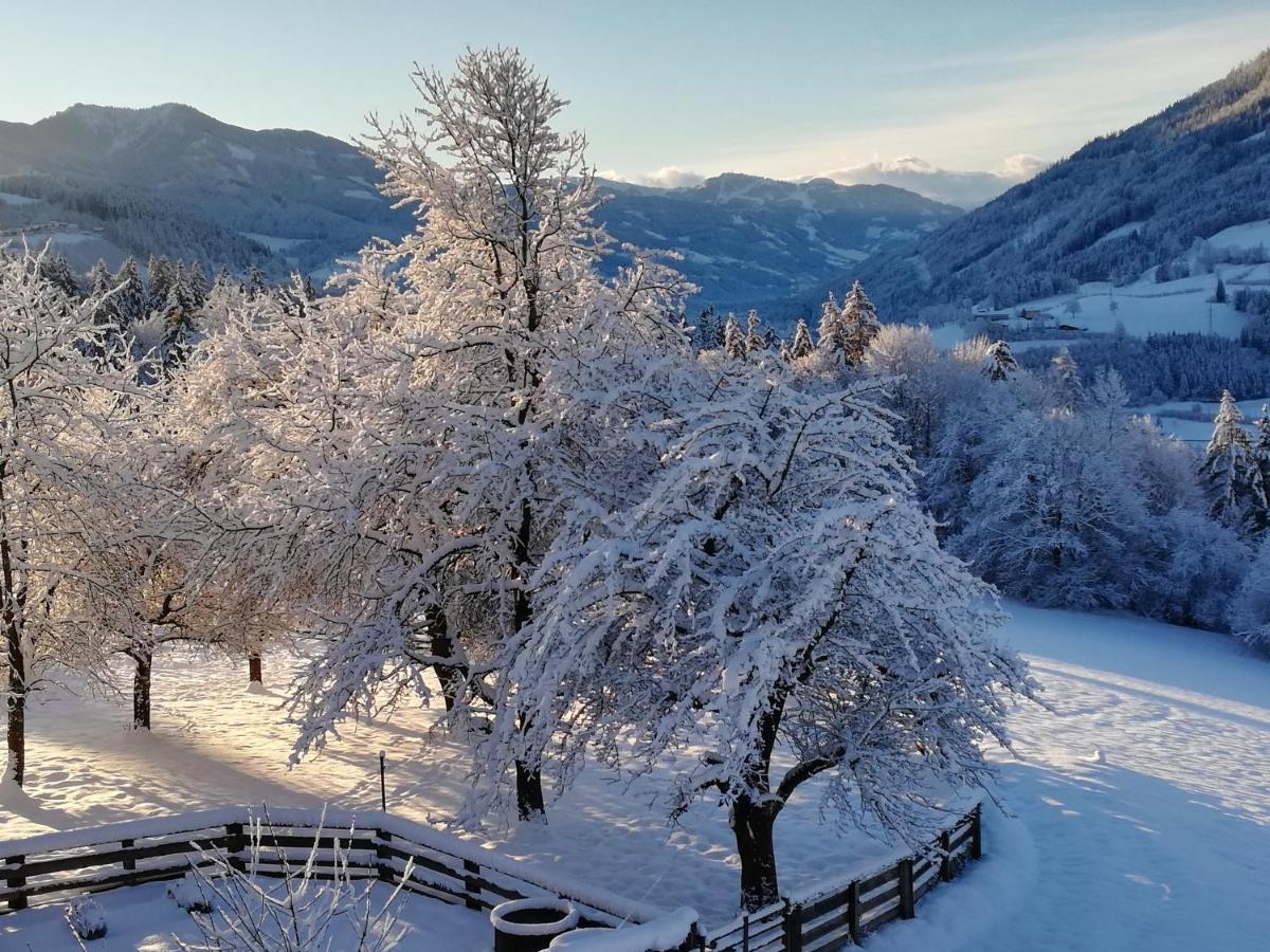Апартаменты Bio-Bauernhof Einberghof Пфаррверфен Экстерьер фото